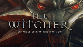 Okładka: The Witcher